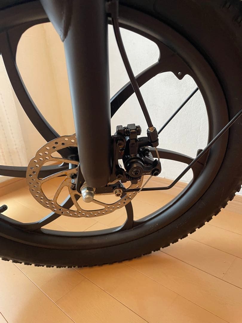 ⭐️2025年モデル 電動アシスト自転車 20インチ　FLYFISH⭐️