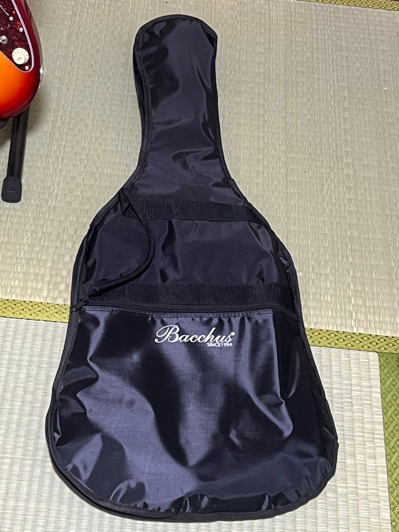 BACCHUS バッカス GS-4DX RSM/M CS エレキギター