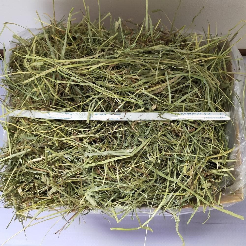 【家計応援価格】US産 チモシー 50kg ２番刈 ソフトSプレミアム