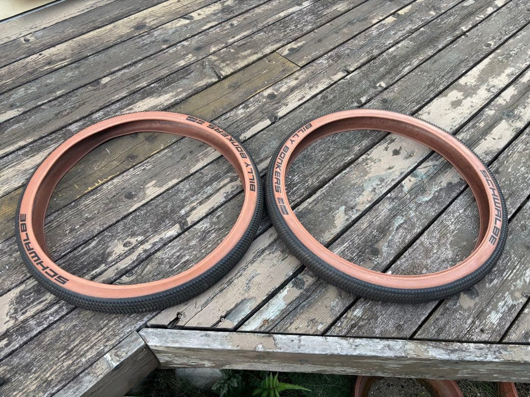 パーツ SCHWALBE Billy Bonkers 26x2.10(54-559)