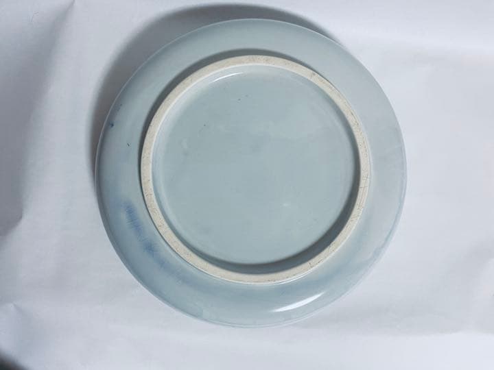 (12) 鯉の大皿と中皿のセット