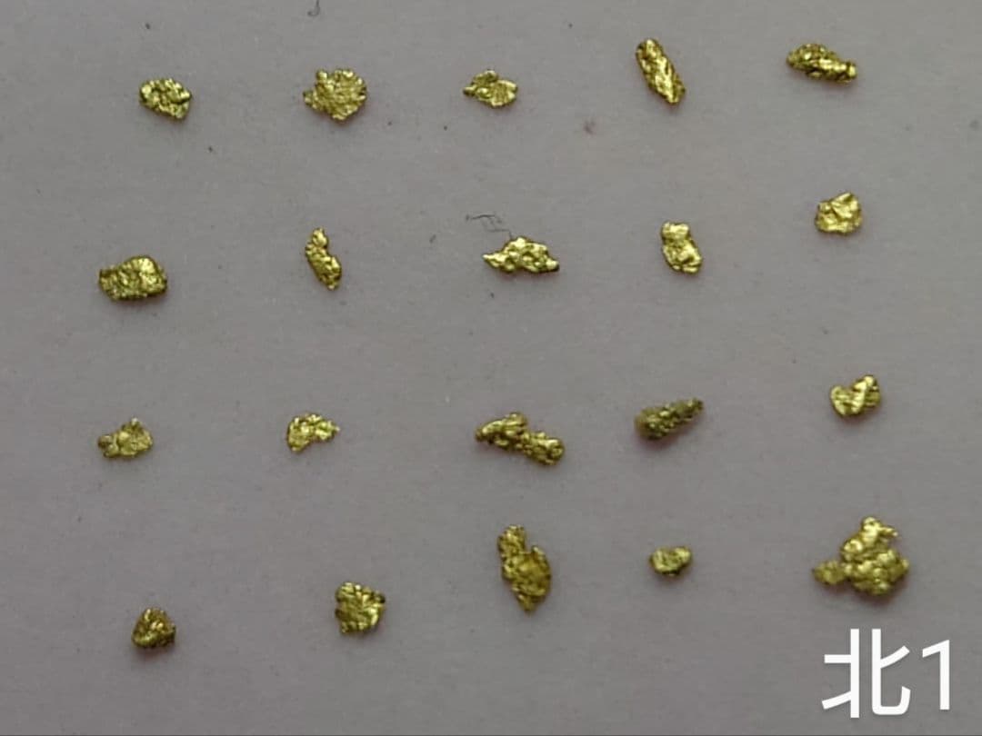 北海道 天然砂金 20粒　砂金
