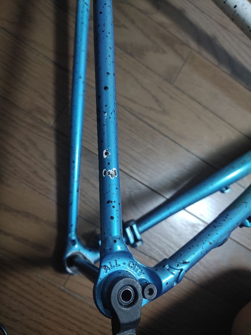 ALL CITY オールシティネイチャークロス Chris King ヘッド