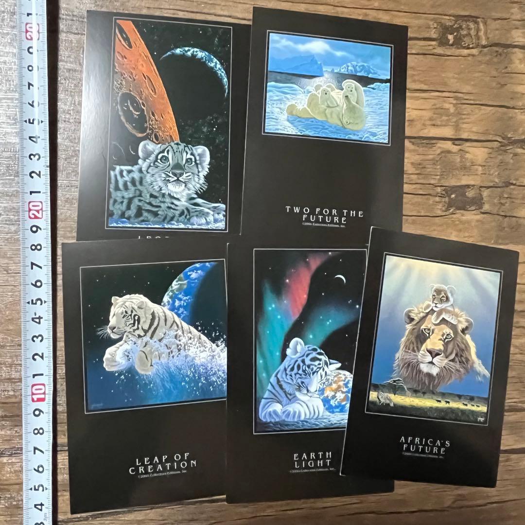 ブラックポストカード　5枚セット　シムシメールコレクション