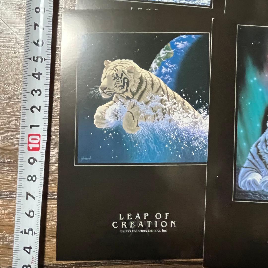 ブラックポストカード　5枚セット　シムシメールコレクション