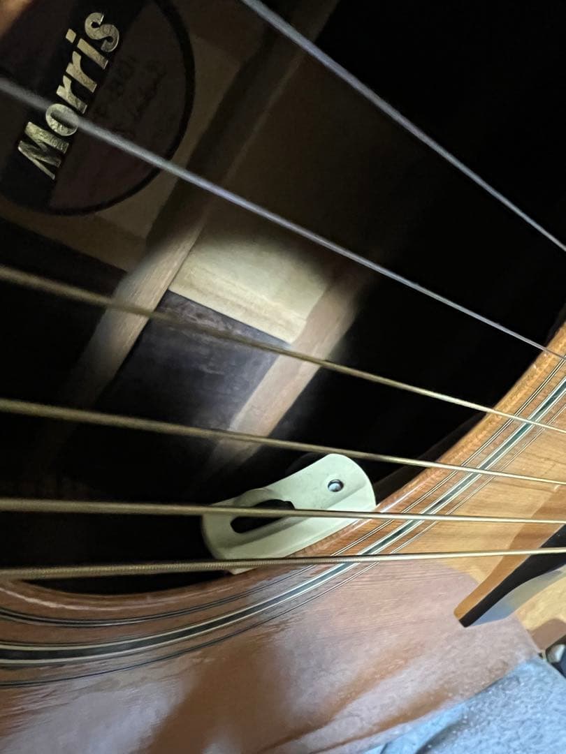 山*だ様 難ありMORRIS TF-801 モーリス　ハラカンダ　3ピース