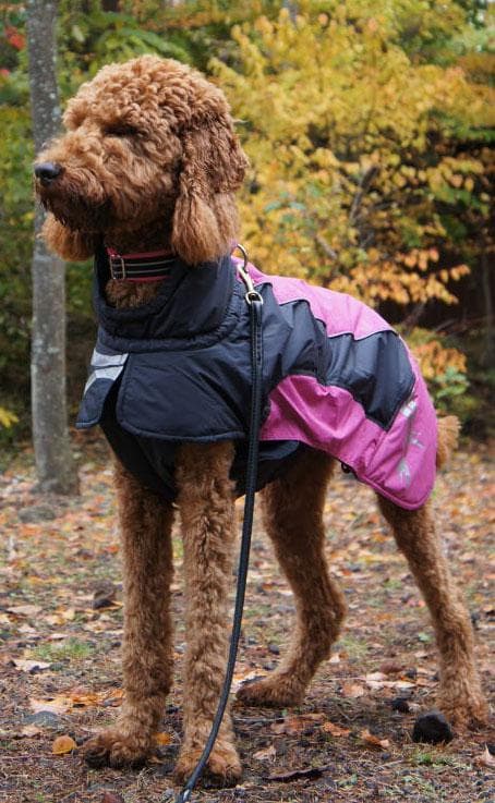 アルティメットウォーマー60 CM