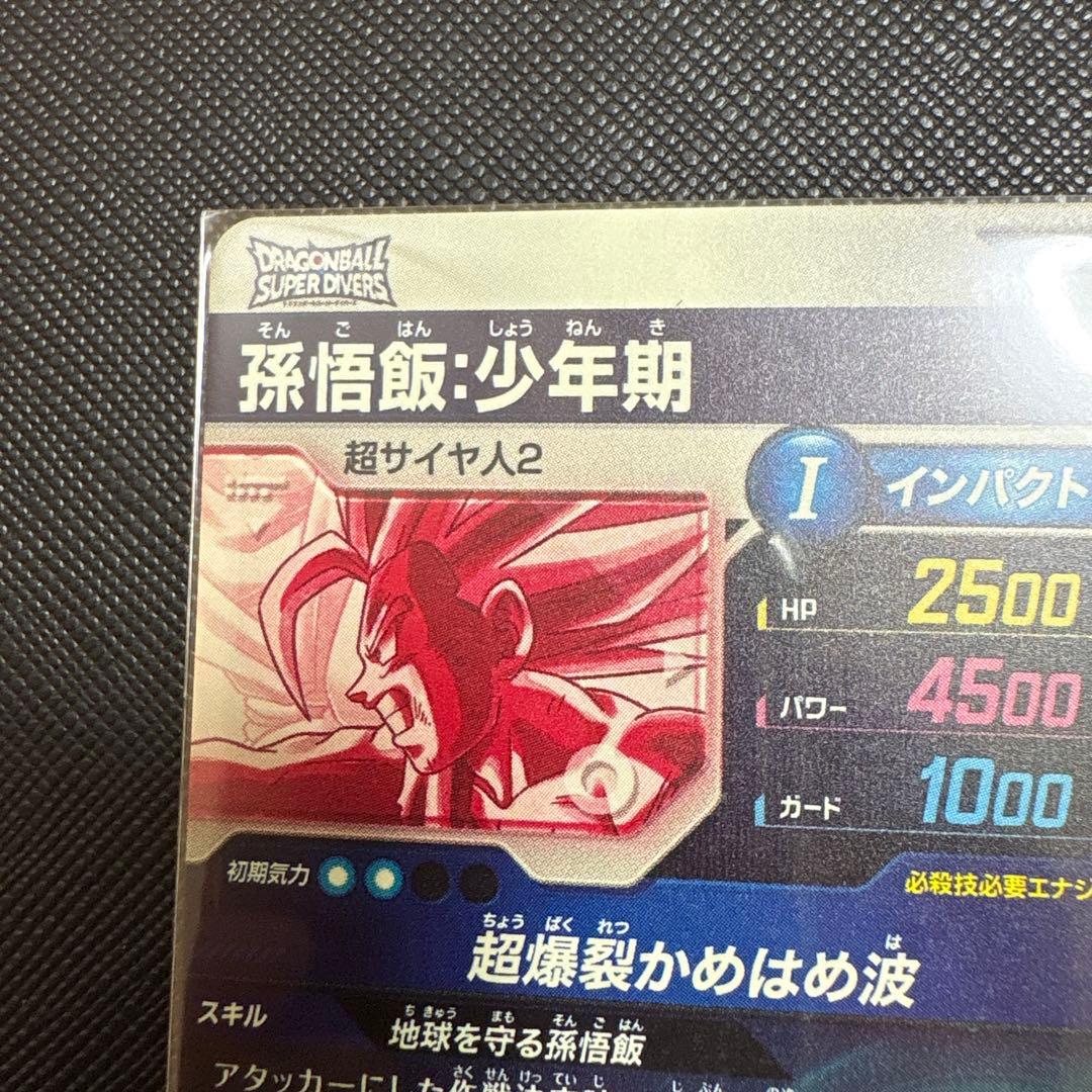 孫悟飯　少年期　GDR