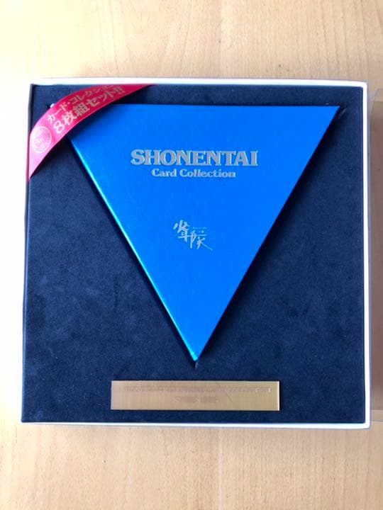 少年隊　カードコレクション　8枚組