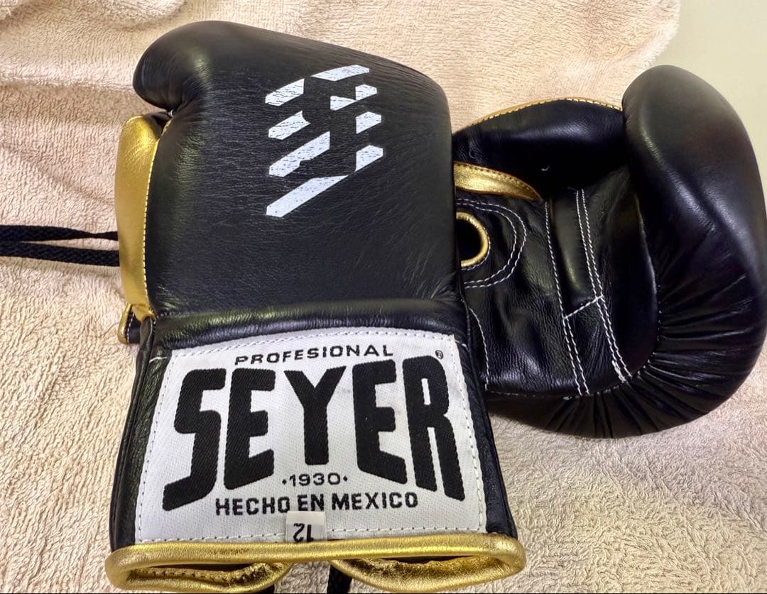 SEYER プロフェッショナル ボクシンググローブ 12oz 黒