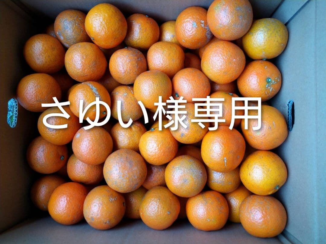 さゆい　屋久島たんかん　MS 20キロ