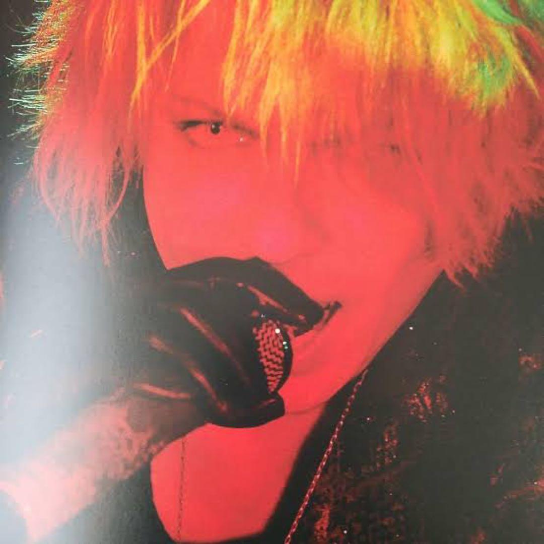 HYDE VAMPS ピック 本人使用 ハイド 非売品 ラルク