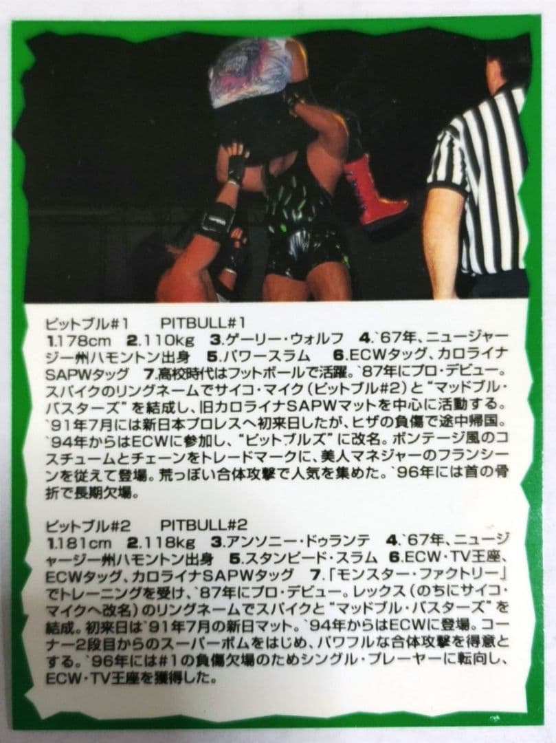 ECWプロレスカード ピットブルズ　BBM