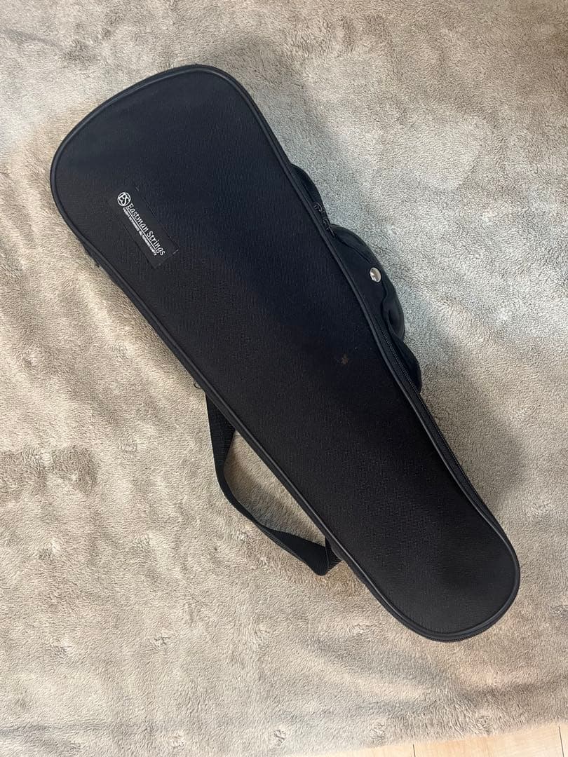 Andreas Eastman VL80 1/10サイズ　2018年製バイオリン