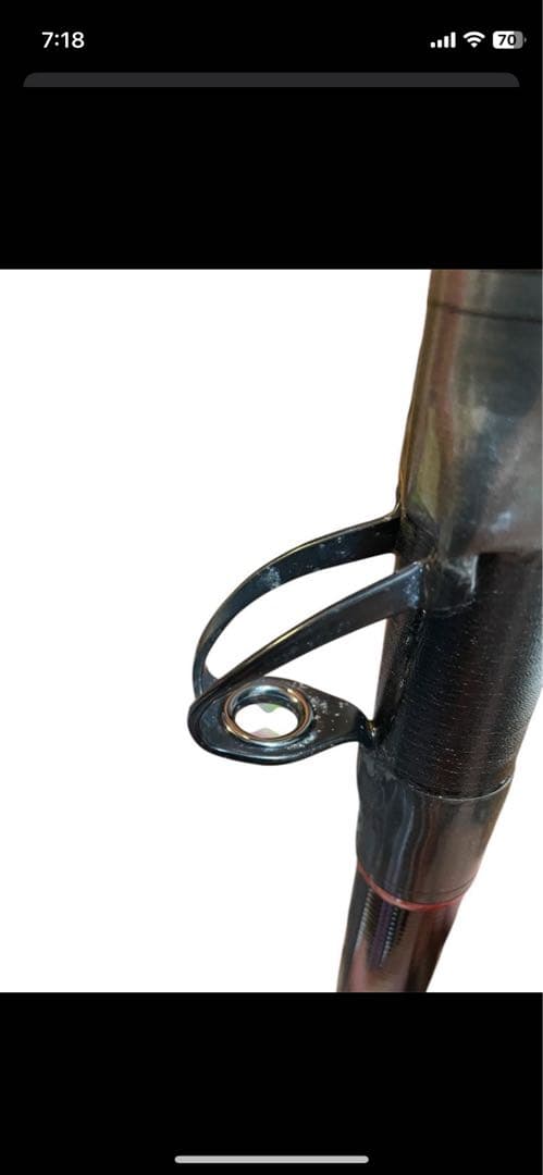 小笠原11 ８０号504 クエ　カーボウィスカー