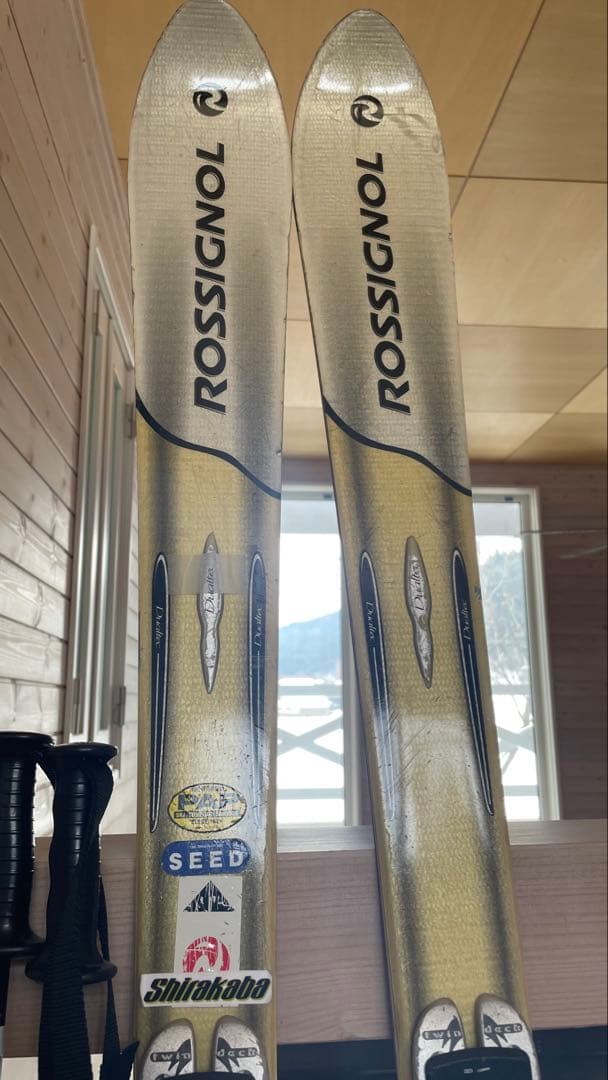 ロシニョールカービングスキー板子供ジュニアkidsキッズ158cmセット男子大人