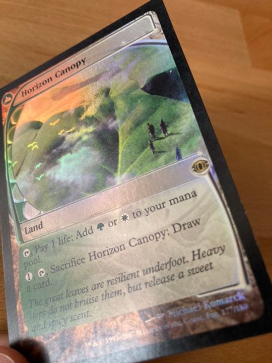 FUT 地平線の梢　英FOIL1枚　初版