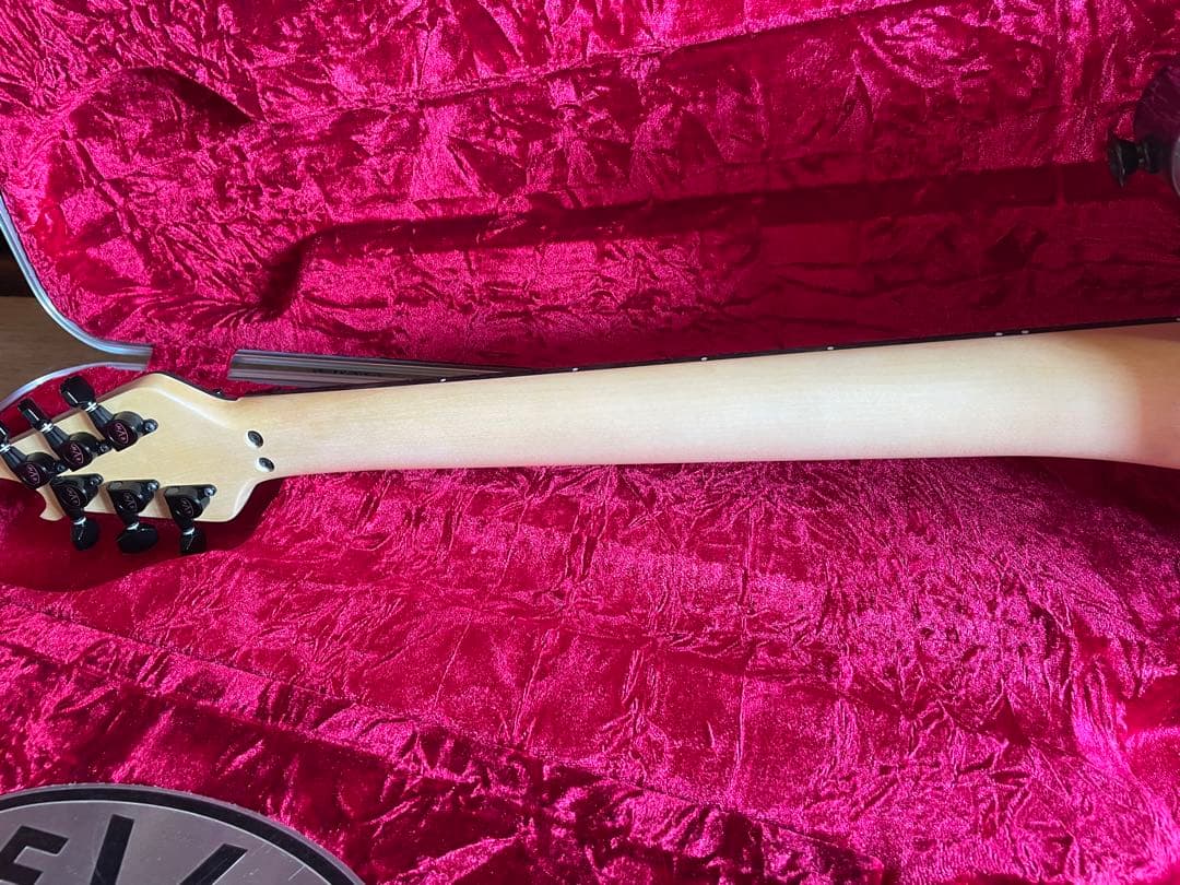 タケカリ:EVH WOLFGANG USA silver