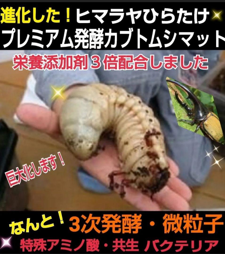 極上！プレミアム3次発酵カブトムシマット【たっぷり60L】幼虫の餌・産卵にも抜群
