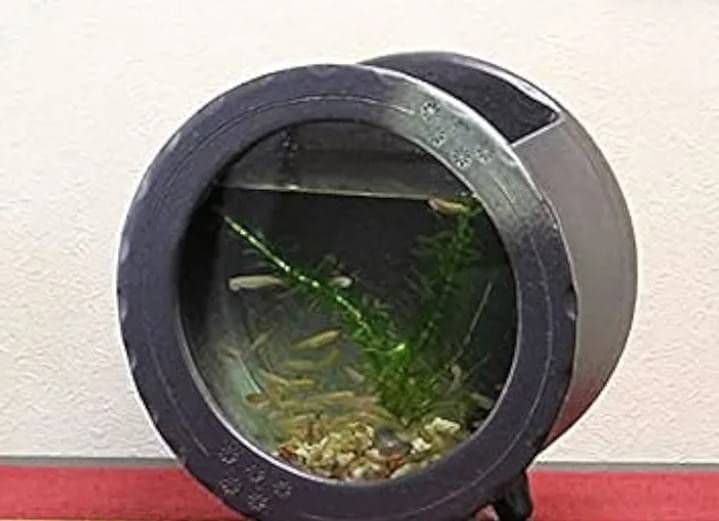 円形陶器メダカ鉢 小型　金魚鉢