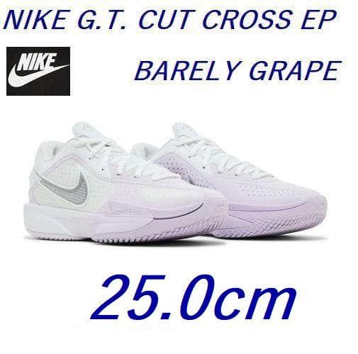 L新品 25cmナイキ エア ズーム GT カット クロスHF0231-100