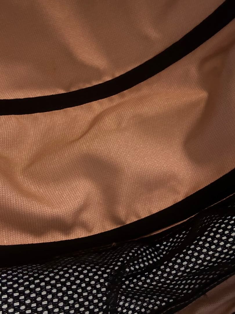 エアバギー　Dome2 コット　ブロッサム　ラージ