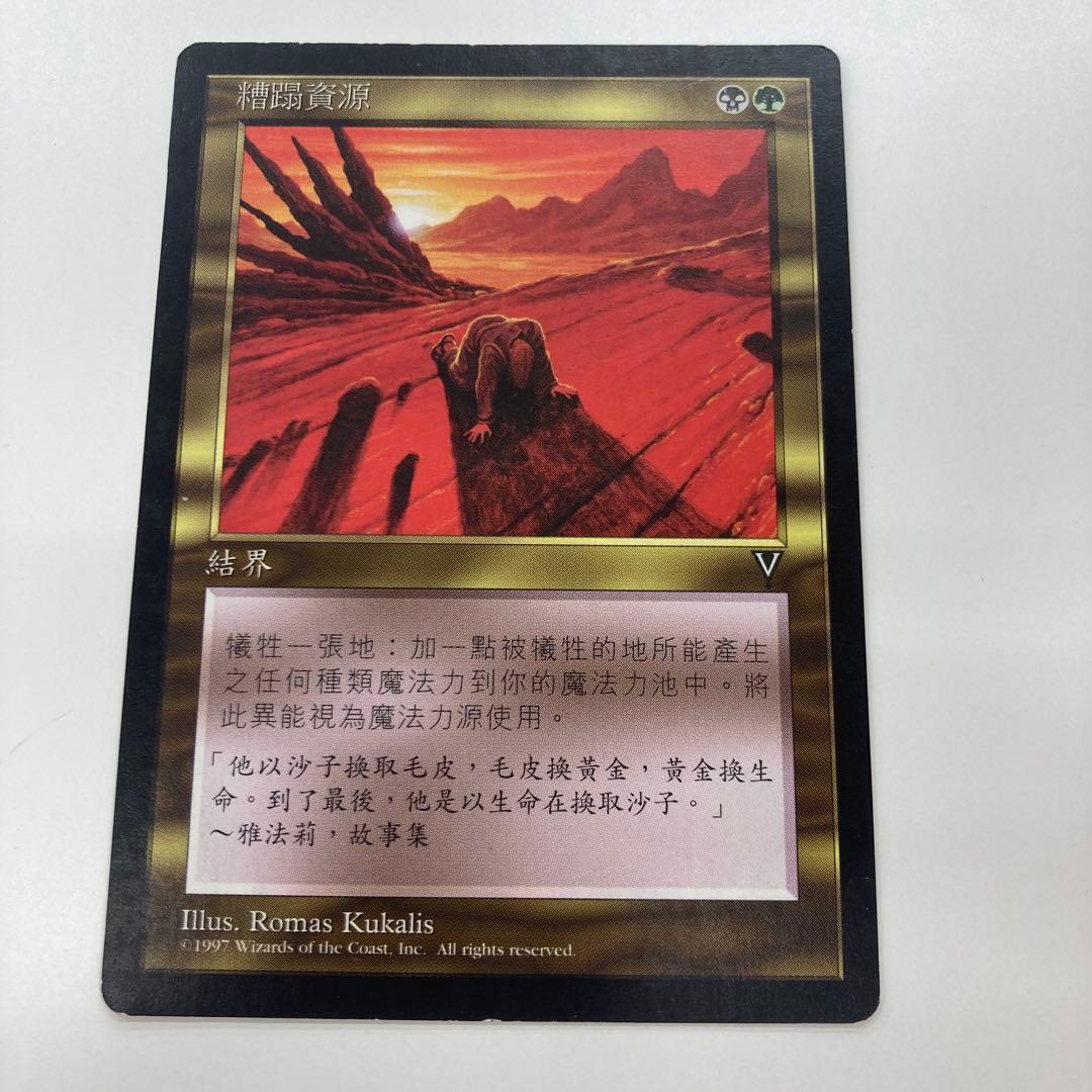 Mtg 資源の浪費 中国語 繁体字 2枚セット バラ売り可能