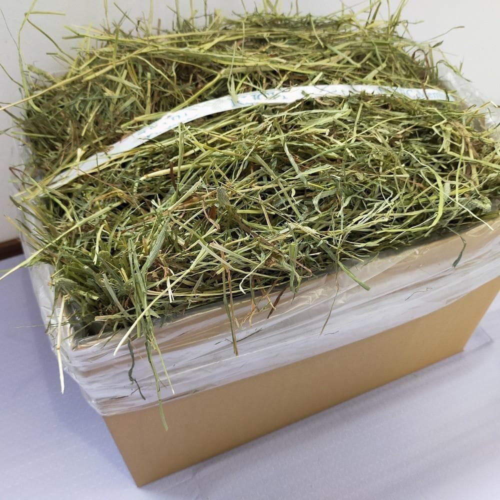 【業販価格】US産 チモシー 180kg ２番刈 ソフトSプレミアム