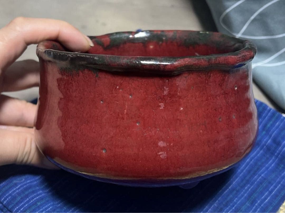 南龍院極 表千家吸江斎箱書 赤志野茶碗 徳川印 銘『千種』