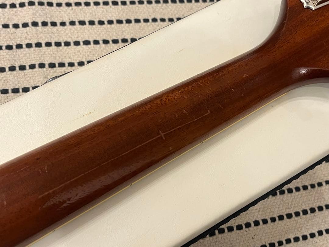 【f-arai】KING SNAKE Swamp