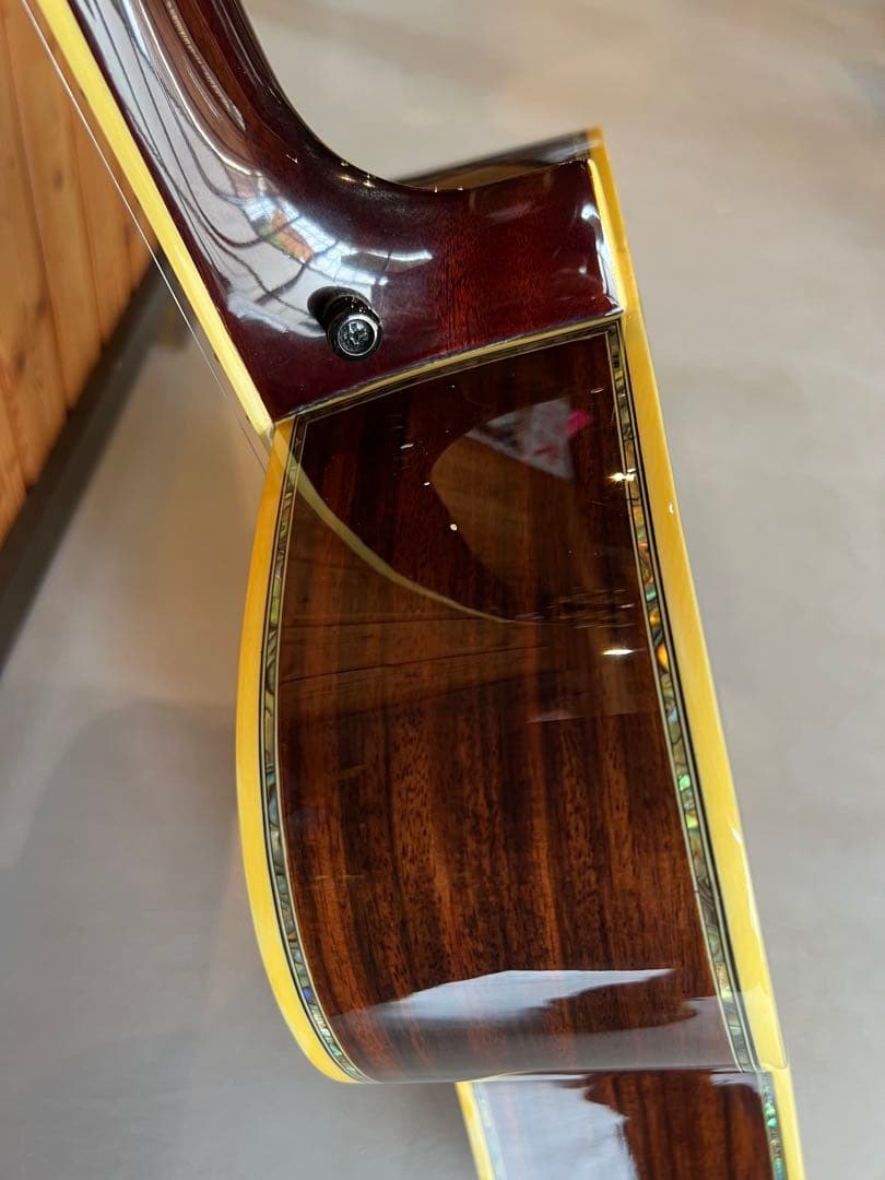 ✴︎Cat’sEyes CE185T 希少　定価203,500円