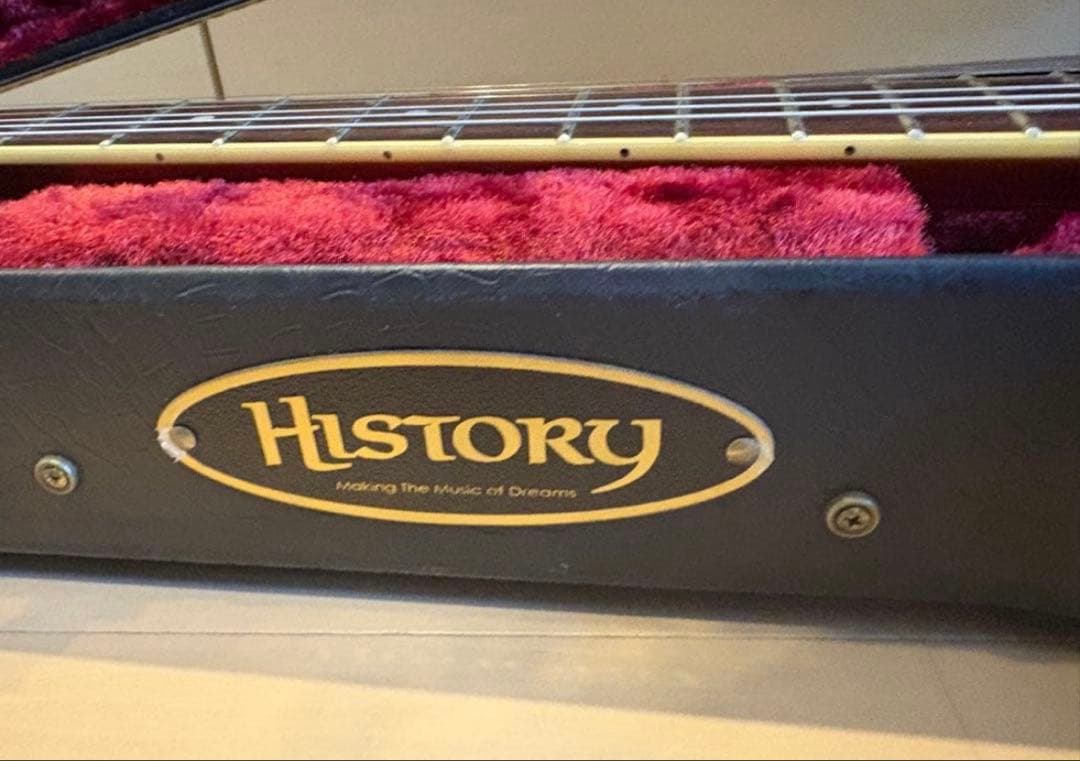 history セミアコ　ハードケース付き
