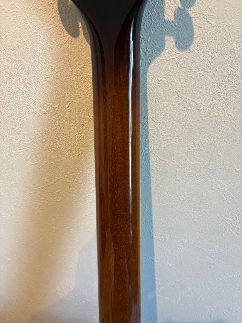 history セミアコ　ハードケース付き