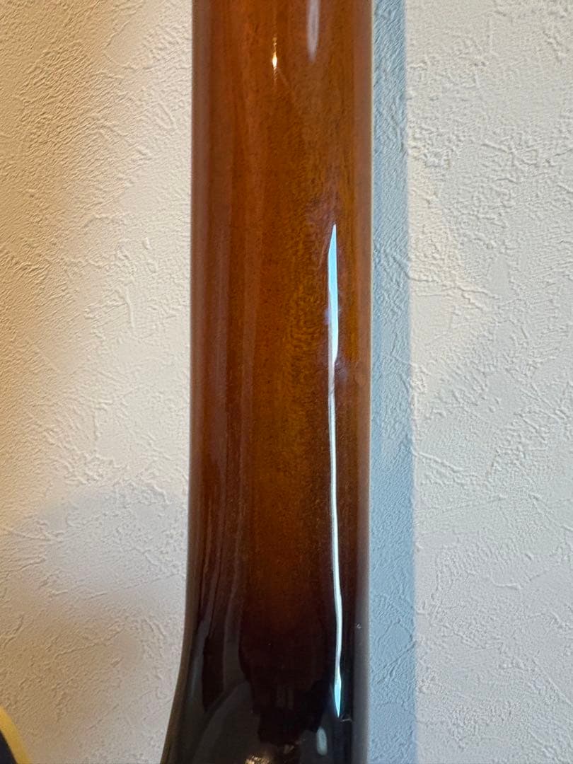 history セミアコ　ハードケース付き