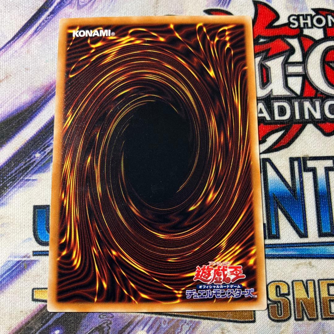 真紅眼の黒竜 レリーフ