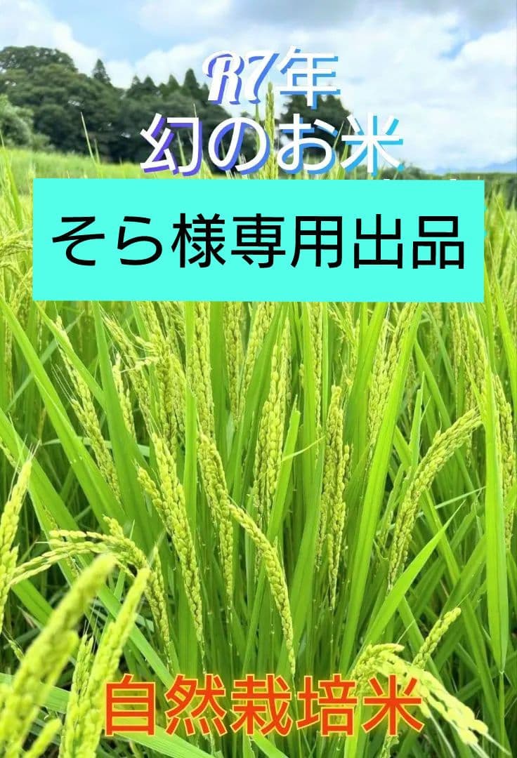 そら　R7年 自然栽培米 朝日米5kg玄米