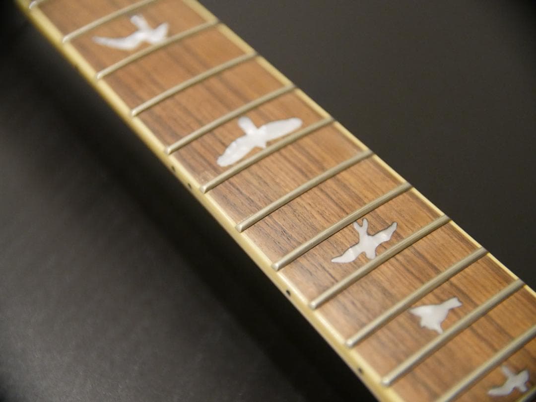 PRS SE Custom 24 セット ケース付