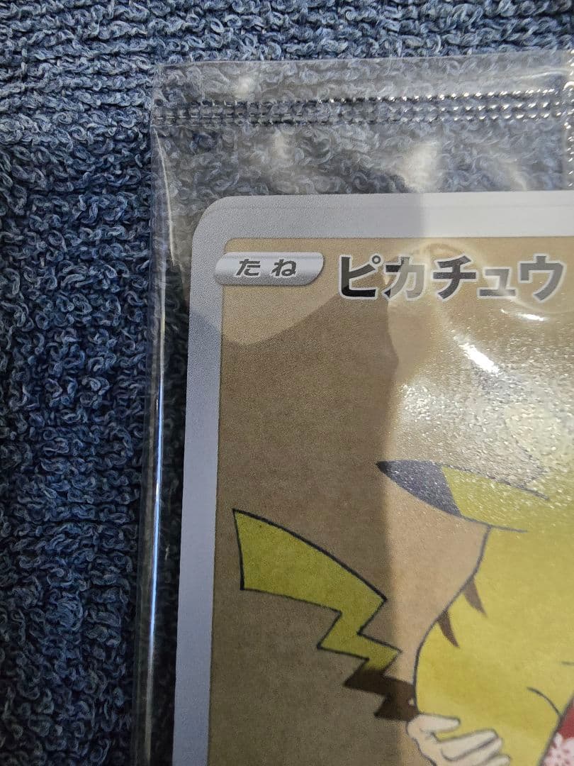 ポケモン切手BOX　見返り美人・月に雁