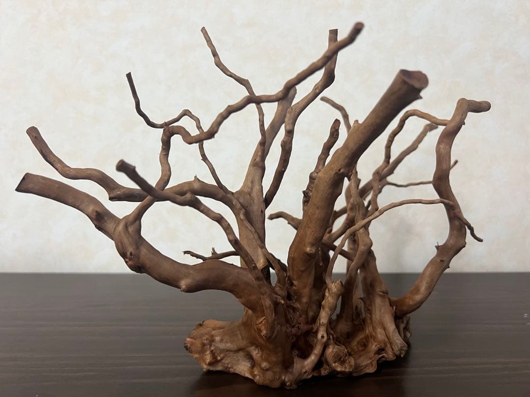 32625 ブランチウッド　流木　アクアリウム 沈水確認済