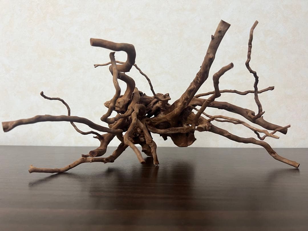 32625 ブランチウッド　流木　アクアリウム 沈水確認済