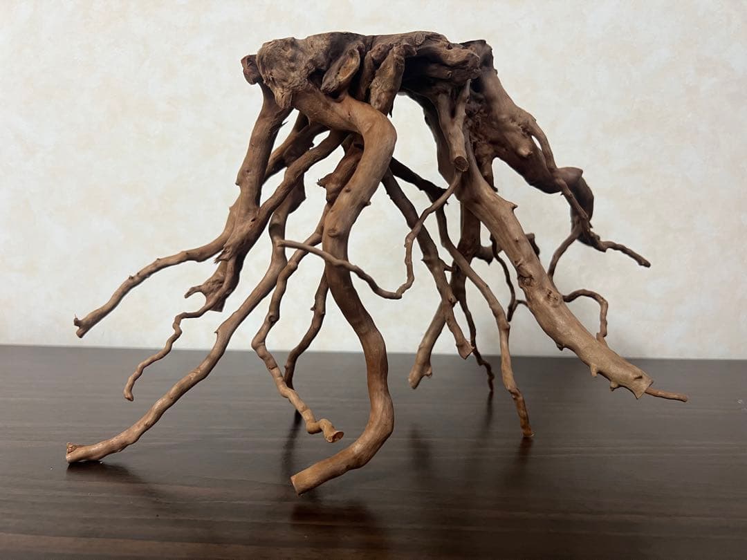 32625 ブランチウッド　流木　アクアリウム 沈水確認済