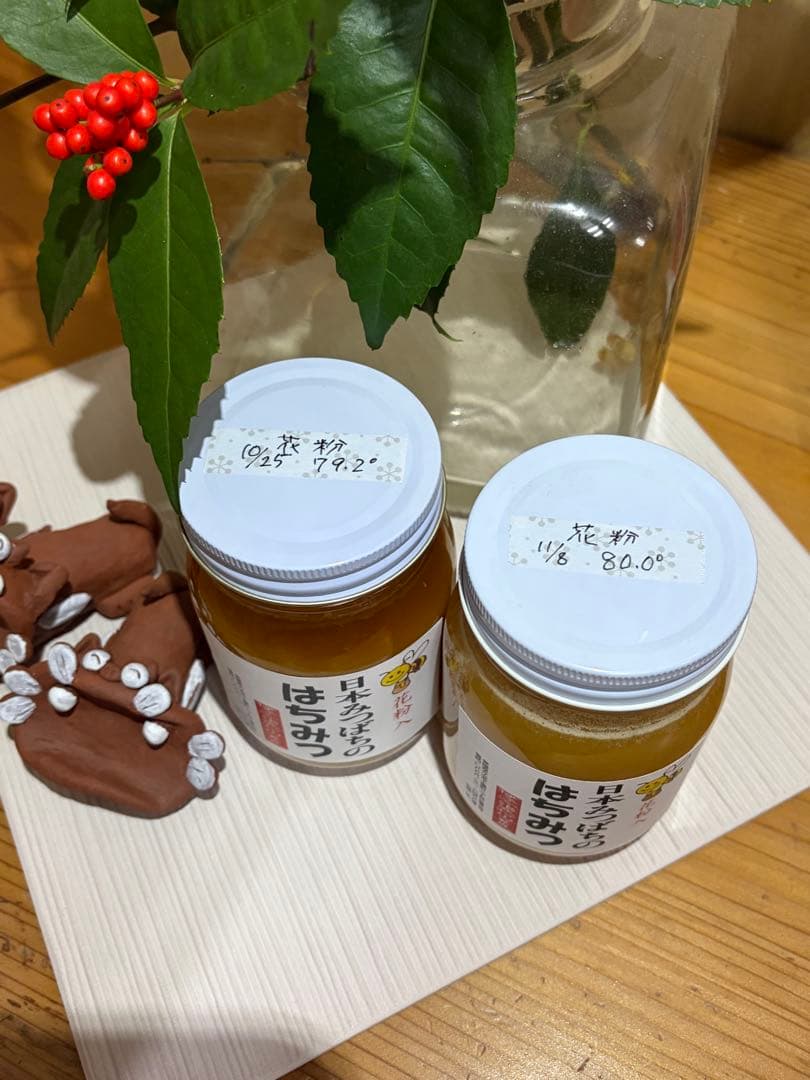 ハチミツ　日本蜜蜂の蜂蜜　奥山の奥のはちみつ花粉入り２種