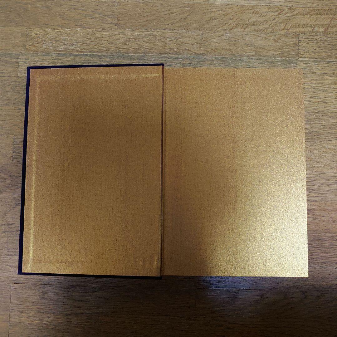 ミッシェルガンエレファント ラストヘブン 写真集 上製本 特典付き セット