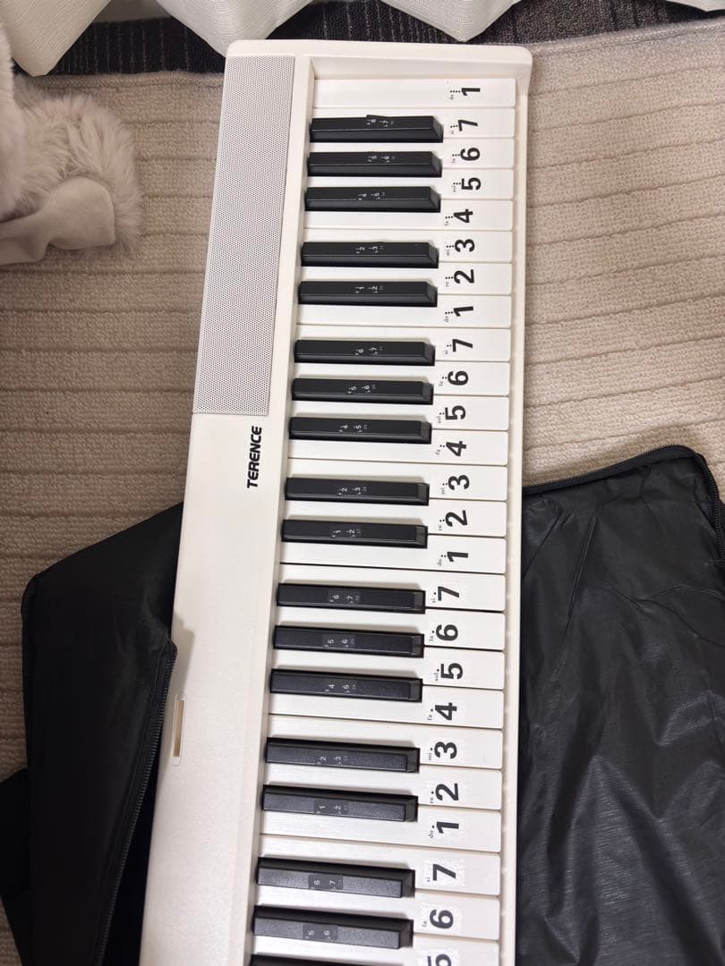 TERENCE 折りたたみ電子ピアノ 88鍵