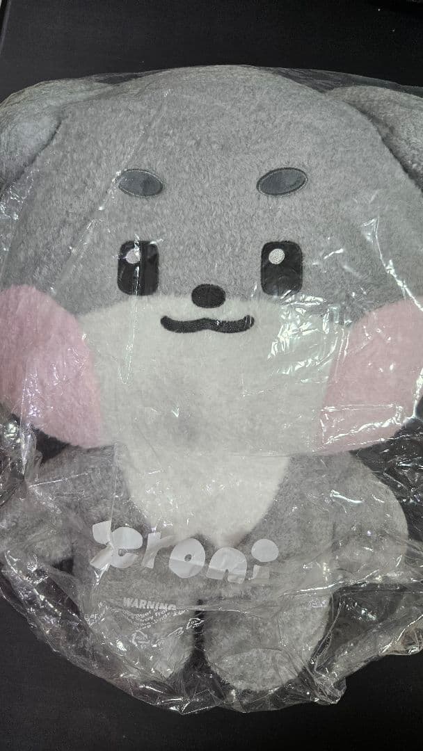 ZEROBASEONE ZERONI フラットぬいぐるみ ゴヌク ゴニニ ZB1