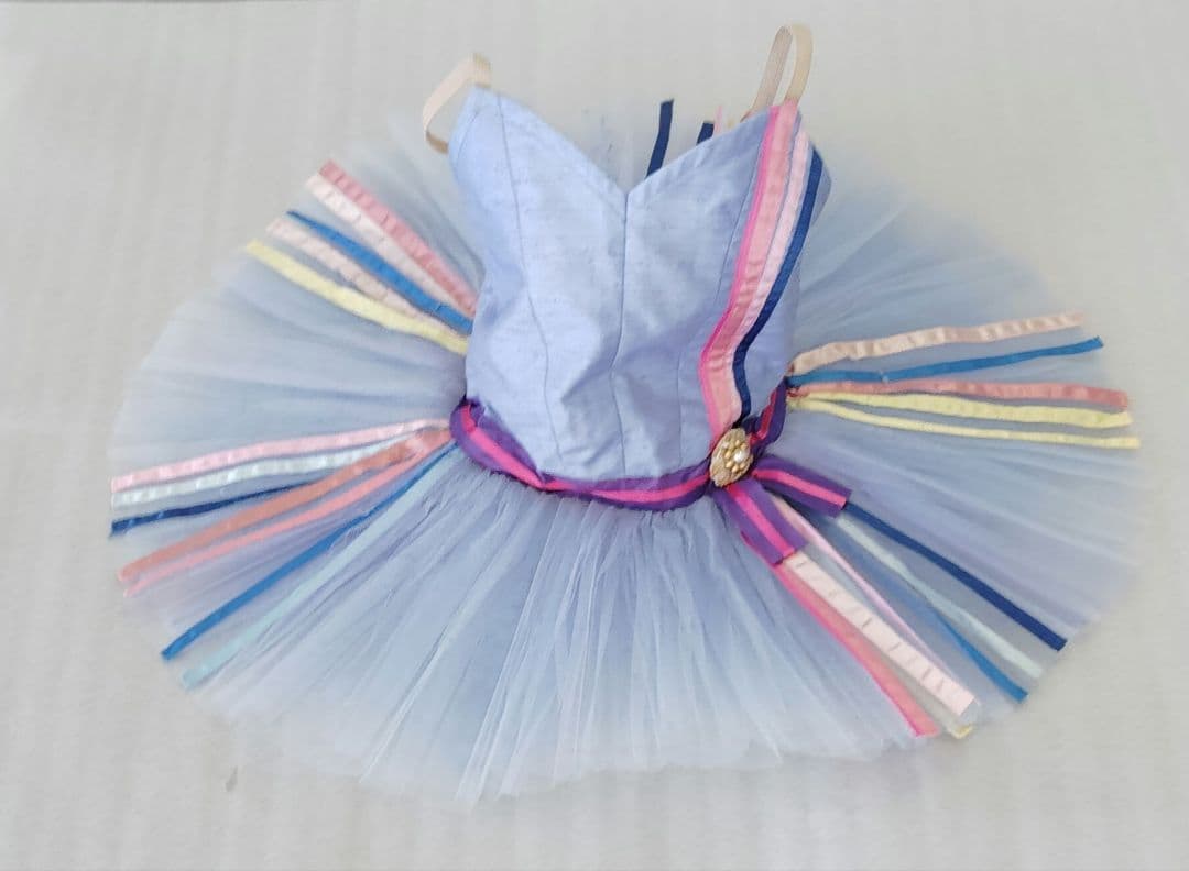 バレエ　小学校1、2年生チュチュ5着まとめ　ボンの長さ24~25