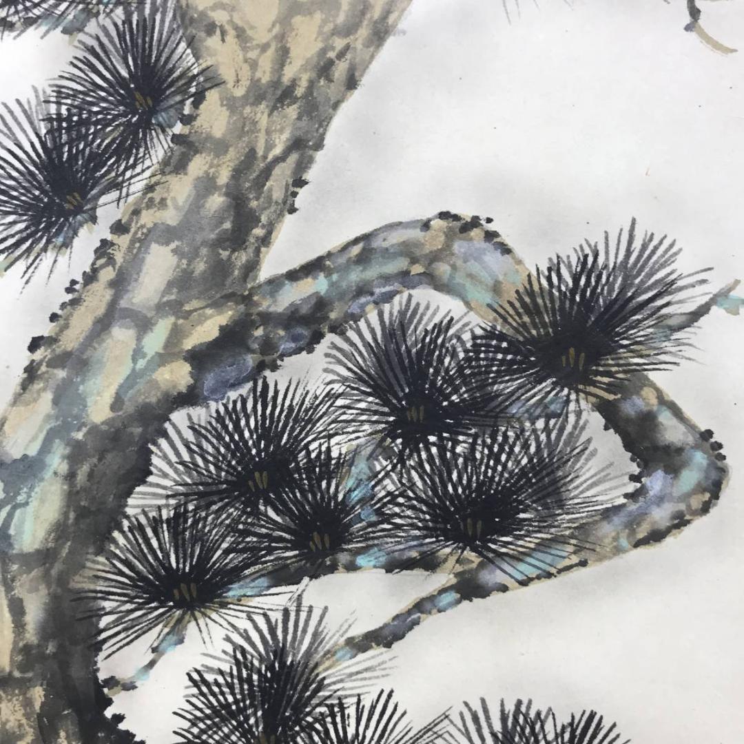 【真作】朝陽/老松図/松図/寿の松/掛軸/名家伝来/AD-838