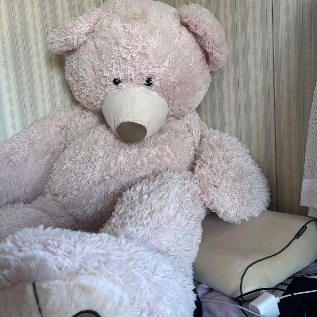 コストコのツキノワグマ