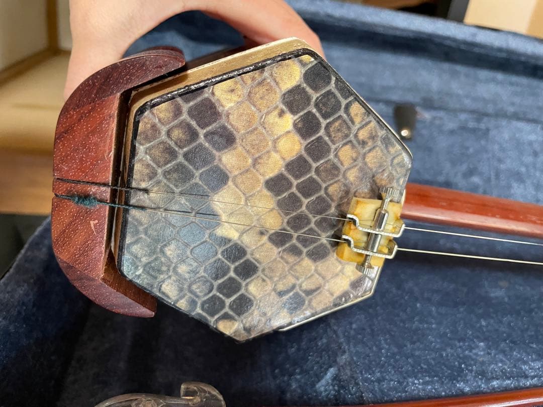三味線 蛇皮 ケース付き 教本付き 二胡