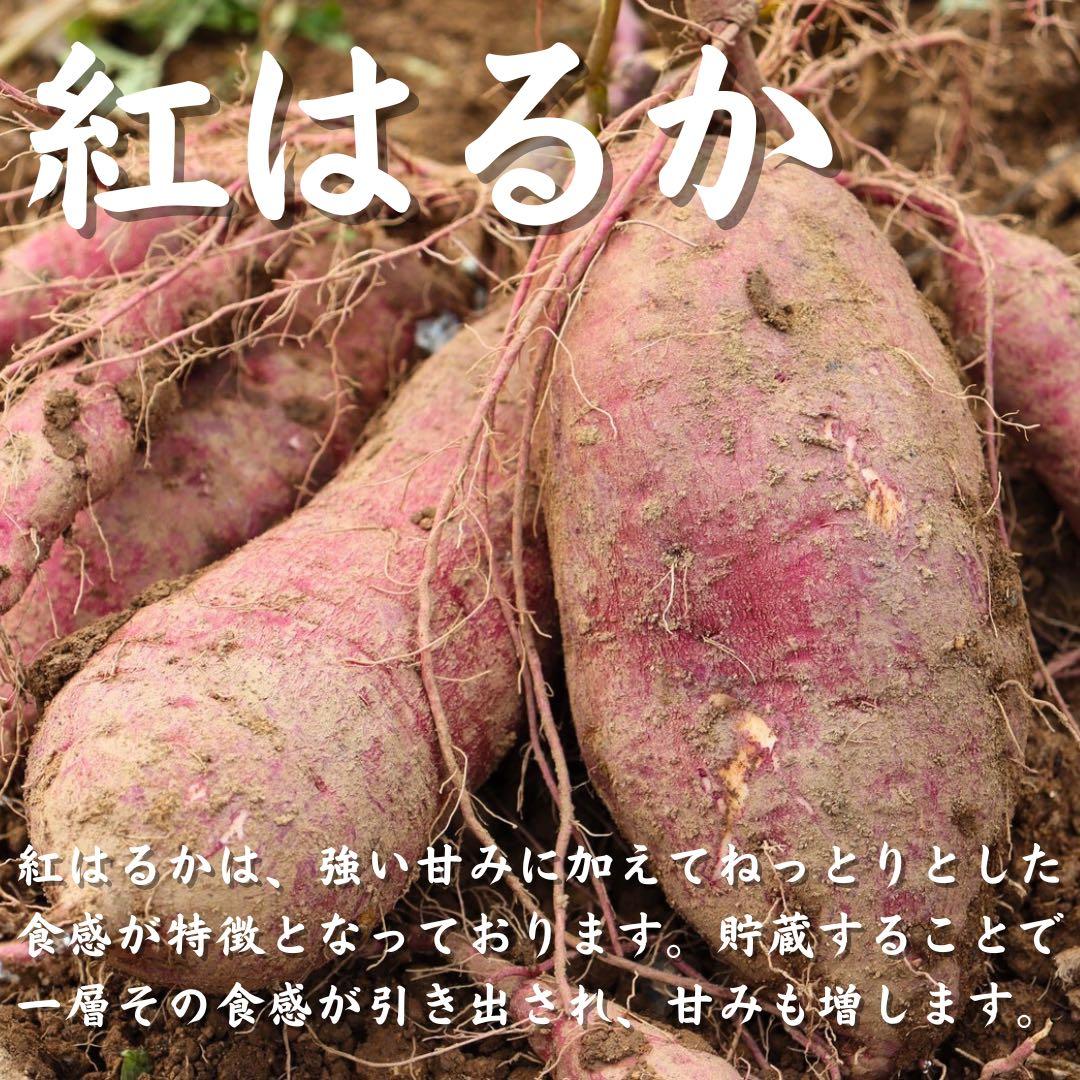 さつまいも『紅はるか』15kg ★無肥料・無農薬★